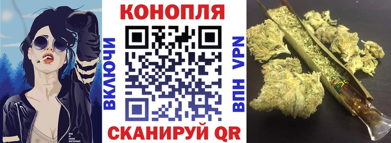 Бошки Шишки гибрид дарнет шоп Гороховец